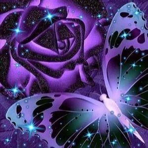 Meet your Posher, Teri